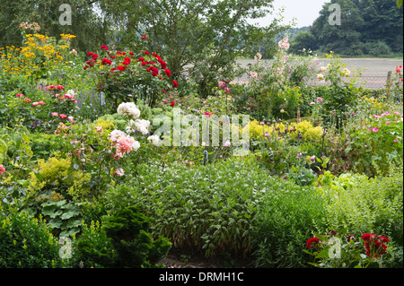 Bauerngarten in Elsten, Niedersachsen, Deutschland Stockfoto