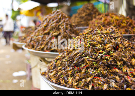 berüchtigten Fehler Essen von Asien Stockfoto