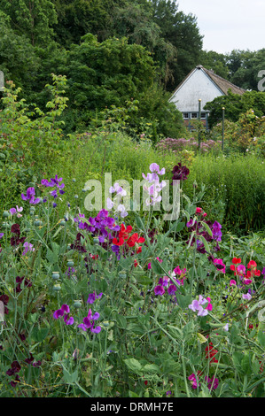 Bauerngarten in Elsten, Niedersachsen, Deutschland Stockfoto