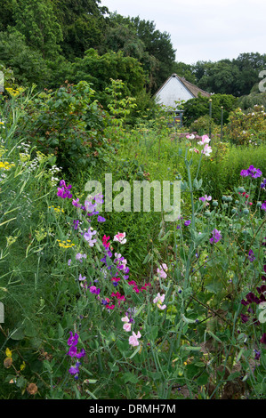 Bauerngarten in Elsten, Niedersachsen, Deutschland Stockfoto