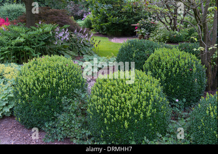 Garten in Visbek, Niedersachsen, Deutschland Stockfoto