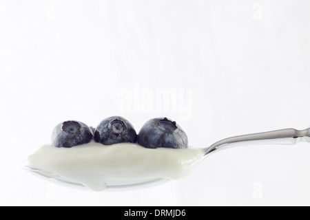 Löffel voll Joghurt mit Heidelbeeren Stockfoto