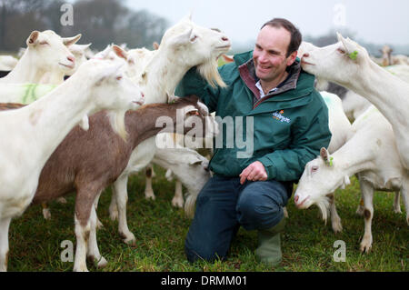 Staffordshire, UK. 12. März 2012.  Nick Brandon posiert mit seinen Ziegen.  Dies ist das erste Jahr, die Briten mehr als 2 Millionen Liter Ziegenmilch trinken will und der Bauer, Großbritanniens größte weidenden Ziegenherde hat, Dank das trockene Wetter für die Hilfe, seine Ziegen glücklich und lächelnd zu halten.  "Ziegen nicht mag Regen - wir brauchen jemand hier die ganze Zeit, für den Fall, dass es regnet," sagte Nick Brandon, 60, wer eine riesige Farmen, dreitausend starke Herde auf seiner Farm in Staffordshire. "Im Gegensatz zu Schafen, Stockfoto