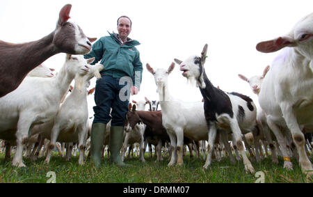 Staffordshire, UK. 12. März 2012.  Nick Brandon posiert mit seinen Ziegen.  Dies ist das erste Jahr, die Briten mehr als 2 Millionen Liter Ziegenmilch trinken will und der Bauer, Großbritanniens größte weidenden Ziegenherde hat, Dank das trockene Wetter für die Hilfe, seine Ziegen glücklich und lächelnd zu halten.  "Ziegen nicht mag Regen - wir brauchen jemand hier die ganze Zeit, für den Fall, dass es regnet," sagte Nick Brandon, 60, wer eine riesige Farmen, dreitausend starke Herde auf seiner Farm in Staffordshire. "Im Gegensatz zu Schafen, Stockfoto