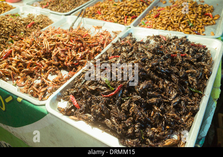 frittierte Insekten snack als Nahrung in Bangkok, Thailand. Stockfoto