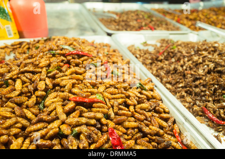 frittierte Insekten snack als Nahrung in Bangkok, Thailand. Stockfoto