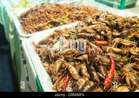 frittierte Insekten snack als Nahrung in Bangkok, Thailand. Stockfoto