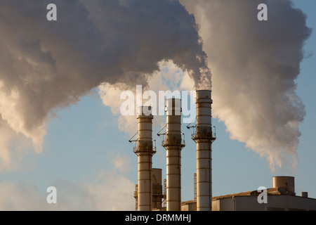 Die Dearborn industrielle Generating Station, bei der Ford Rouge Herstellung Komplex von CMS Energy betrieben. Stockfoto