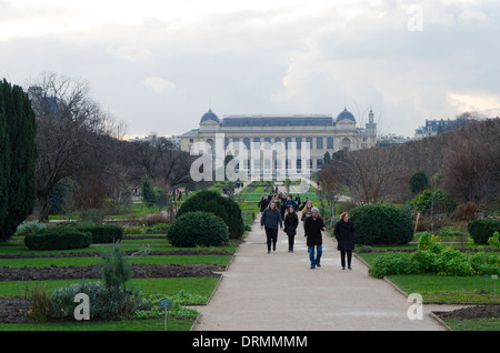 Botanischer Garten, Jardin des Plantes, bei Austerlitz mit National Museum of Natural History im Hintergrund in Paris, Frankreich. Stockfoto