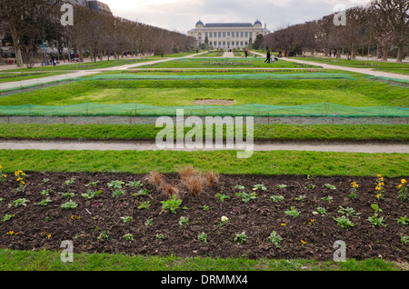 Botanischer Garten, Jardin des Plantes, bei Austerlitz mit National Museum of Natural History im Hintergrund in Paris, Frankreich. Stockfoto