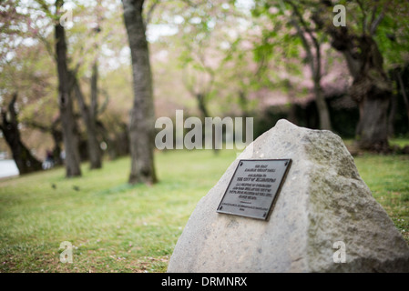 WASHINGTON DC, USA – Eine Gedenktafel markiert den Ort, an dem Washington DC am 27. März 1912 erstmals japanische Kirschbäume pflanzte. Die Markierung, die 1950 von der National Capital Sesquicentennial Commission installiert wurde, erinnert an Tokios Geschenk der Kirschbäume an die US-Hauptstadt. Die historische Stätte befindet sich in der Nähe der japanischen Steinlaterne am Tidal Basin. Stockfoto