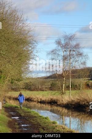 Kaukasische weibliche Walker zu Fuß entlang der Monarch Weg, Stourbridge Canal Prestwood, Staffordshire, England, UK Stockfoto