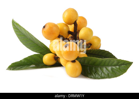 Loquat Obst Stockfoto