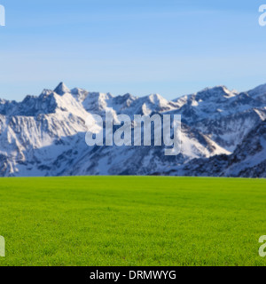 Wiese in Bergen Stockfoto