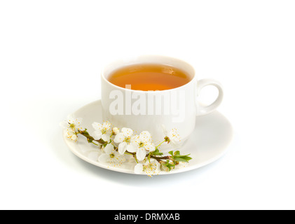 Kirsche Tee in einem weißen Kreis auf einem weißen Hintergrund isoliert Stockfoto