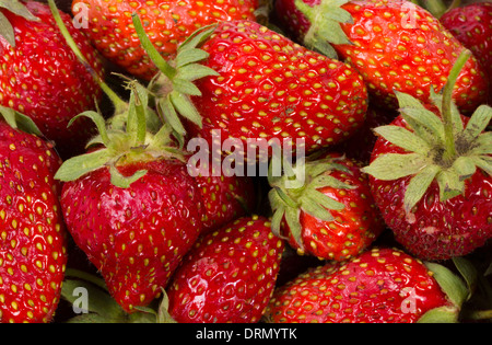 Die Textur der reife Erdbeeren Stockfoto