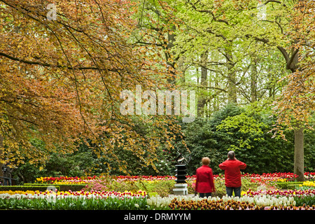 Paar, inmitten von Bäumen und Blumen zeigt, Keukenhof Gärten, in der Nähe von Lisse, Niederlande Stockfoto