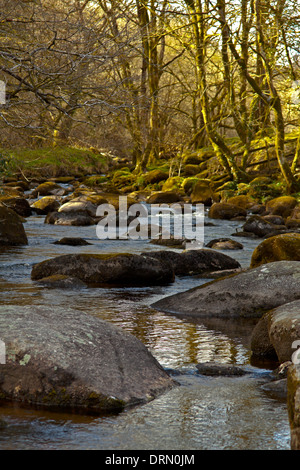 Fluss Dart am Dartmeet im Dartmoor National Park, eine riesige Fläche von Moorland in South Devon, England, Großbritannien, Vereinigtes Königreich Stockfoto