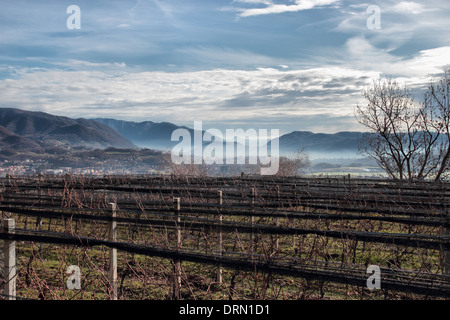 Panoramablick auf Chiasso und den Berg Orfano von der Schweiz, Europa Stockfoto