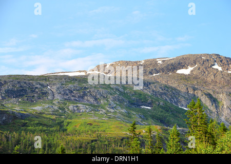 Schöne Aussicht auf Tundra und Gebirge in Norwegen im Sommer Stockfoto