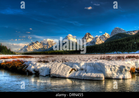 Bergwiese im Frühjahr, Kananasksi Land Alberta Kanada Stockfoto