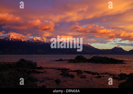 Sonnenaufgang und Alpenglühen am seewärtigen Kaikoura Ranges, Kaikoura, Südinsel, Neuseeland Stockfoto