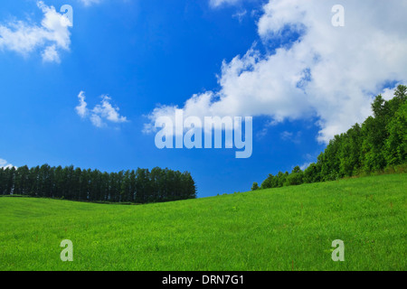 Wolken und Grünland Stockfoto