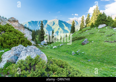 Natur in der Nähe von Big Almaty-See, Tien-Shan-Gebirge in Almaty, Kasachstan, Asien im Sommer Stockfoto