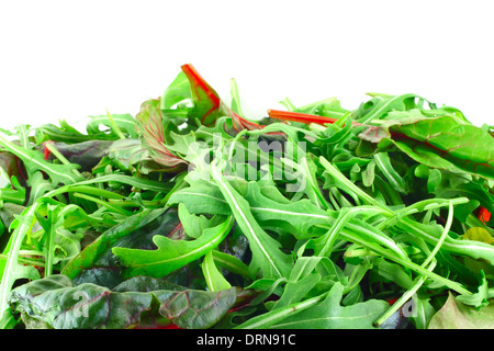 Rucola und Mangold Salat Hintergrund mit weißen Textfreiraum Stockfoto