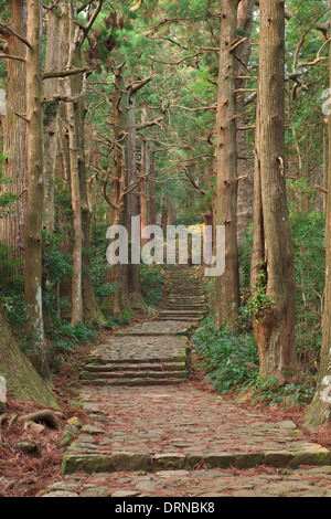 Daimon Pisten auf dem Kumano Kodo Stockfoto