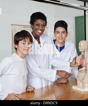 Lehrer zeigt auf anatomisches Modell mit Studenten an der Rezeption Stockfoto