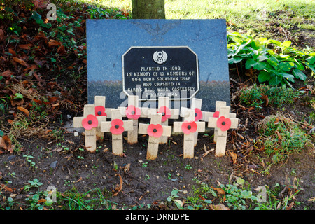 Ein Baum und Memorial Plaque in Erinnerung an 10 Mitglieder von 564 Bomb Squadron USAF, die bei einem Flugzeugabsturz am Costessey 1945 umgekommen sind. Stockfoto