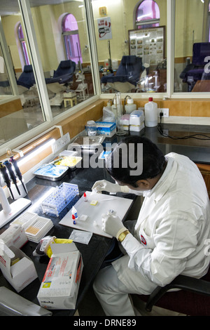 Indische Laborantin HIV-Test in der Blutbank zu Super-Spezialklinik zu tun. Puttaparthi, Andhra Pradesh, Indien Stockfoto