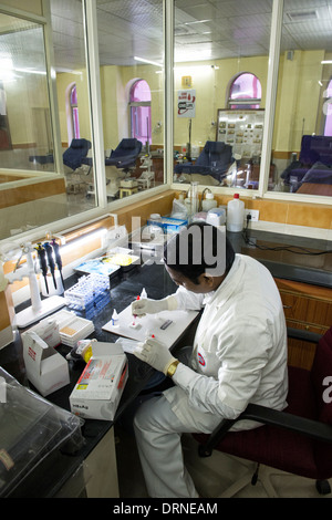 Indische Laborantin HIV-Test in der Blutbank zu Super-Spezialklinik zu tun. Puttaparthi, Andhra Pradesh, Indien Stockfoto