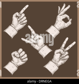 Abbildung der fünf Blätter Stockfoto