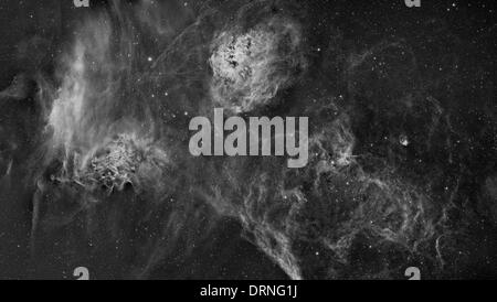 Deep Space Bilder in Mono - die Kaulquappen, Flaming Star und Spider-Nebel Stockfoto