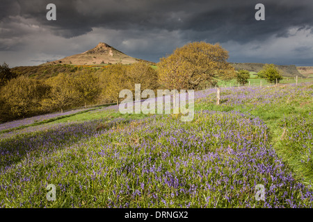 Blaue Glocken und schweren Himmel, Nähe Topping, North Yorkshire, England Stockfoto