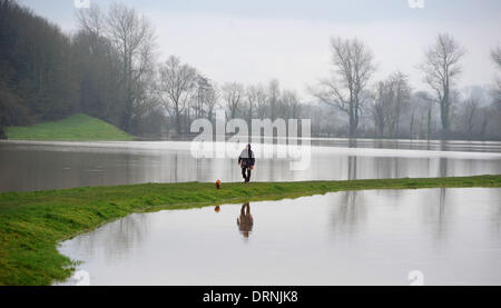 Eine Gehhilfe, mit ihrem Hund neben dem Cuckmere River, die seine Ufer bei Touristenort Sussex UK ist geplatzt Stockfoto