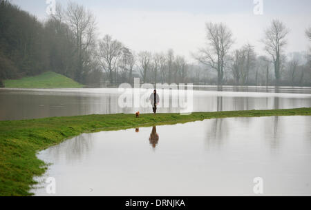 Eine Gehhilfe, mit ihrem Hund neben dem Cuckmere River, die seine Ufer bei Touristenort Sussex UK ist geplatzt Stockfoto