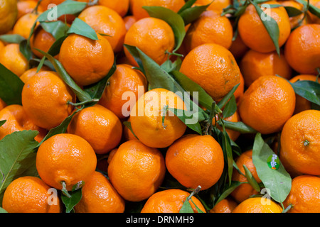 Orangen zum Verkauf im Borough Market Stockfoto