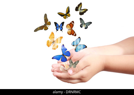 des Kindes Hand loslassen Schmetterlinge Stockfoto