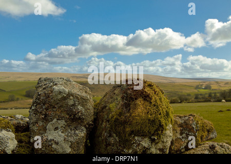 Die imposante Schönheit des Dartmoor National Park, eine riesige Fläche von Moorland in South Devon, England, Großbritannien, Vereinigtes Königreich. Stockfoto