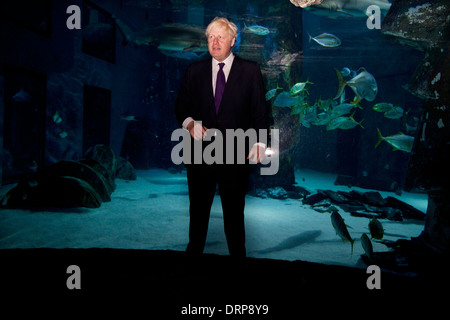 Bürgermeister von London Boris Johnson posiert für ein Foto im Sealife London Aquarium Stockfoto