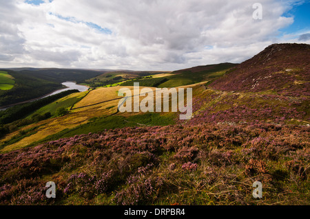 Blick nach Norden entlang der Derwent Valley von Whinstone Lee Tor im Peak District National Park. Stockfoto