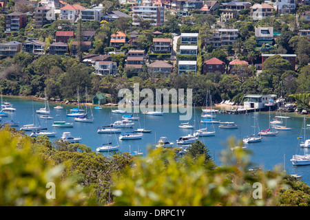 North Sydney Harbour Vorstadt Vorstadt befindet sich am Hang mit Blick auf Hafen von Sydney New South Wales NSW Australia Stockfoto