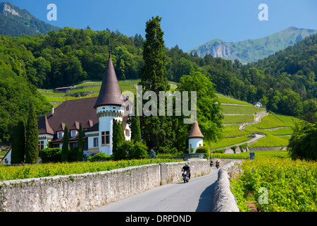 Weingut Château Maison Blanche in Yvorne in der Chablais-Region der Schweiz Stockfoto