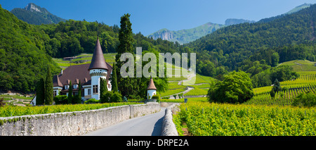 Weingut Château Maison Blanche in Yvorne in der Chablais-Region der Schweiz Stockfoto