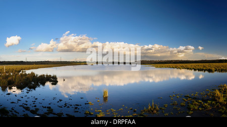 Feuchtgebiet und Schilfbeetes Lebensraum an RSPB Fairburn Ings, Castleford, West Yorkshire. November. Stockfoto