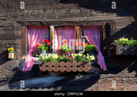 Traditionelle Fenster von Chalet im Dorf Zmutt in den Schweizer Alpen in der Nähe von Zermatt, Schweiz Stockfoto