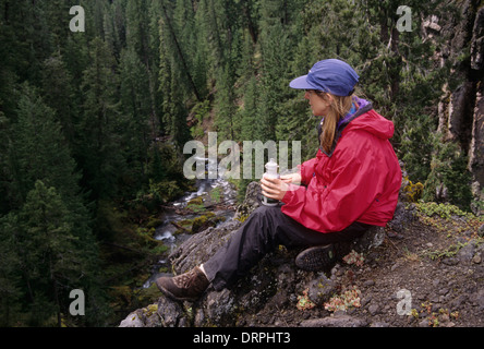 Osprey Canyon auf North Umpqua River in den Dread & Terror Abschnitt, Umpqua National Forest, Oregon Stockfoto